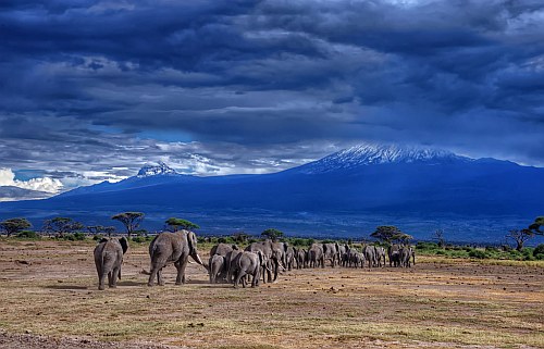 Tanzania, Africa